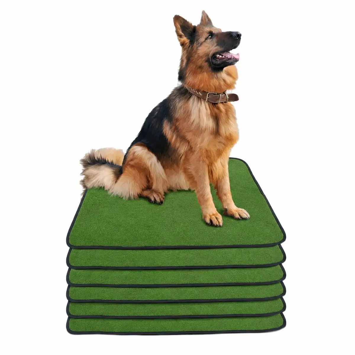 Kit 6 Tapetes Higiênico Laváveis Super Absorção 200 Lavagens 80x60 (Verde)