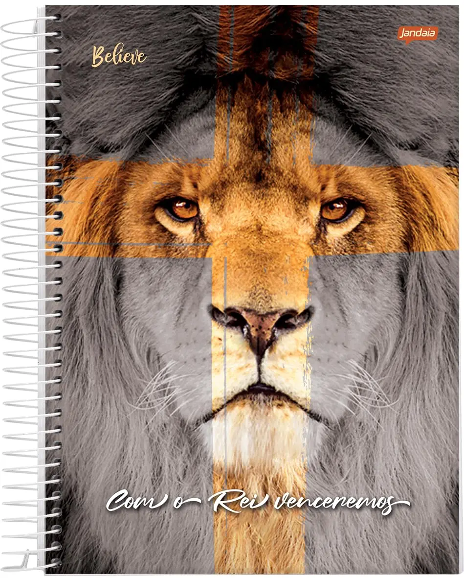 Caderno Espiral Univ CD 1 Matéria 80 Fls Believe Leão FSC - Jandaia