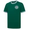Camiseta Retrô Palmeiras 1973 Masculina Verde M - 1
