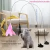 Brinquedo para gato com pena e ventosa durável - 1