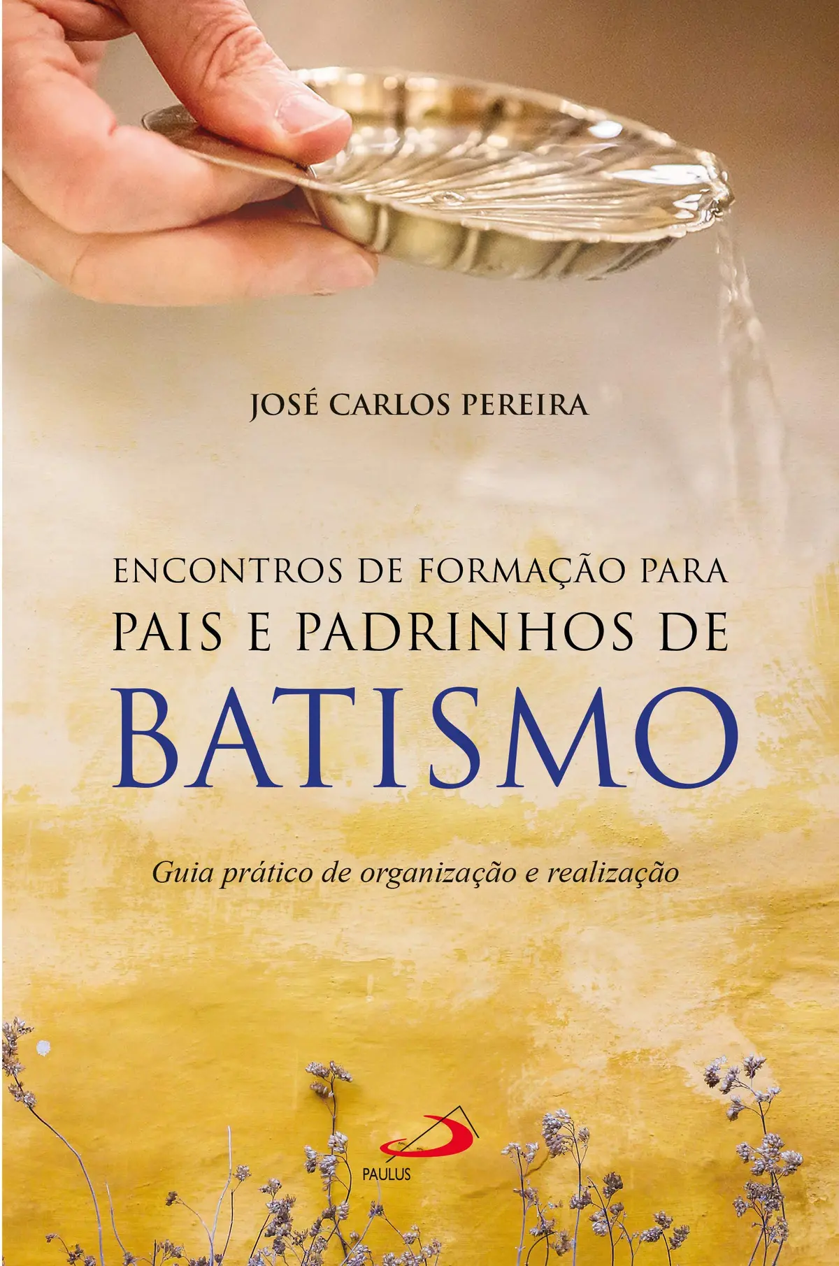 Encontro de formação para pais e padrinhos de Batismo: Guia prático de organização e realização