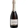 (Regional) Espumante Demi-Sec Salton 750ml - 1