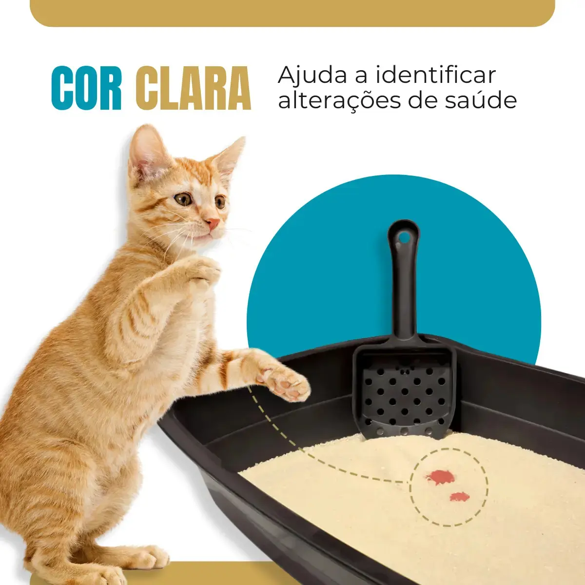 Areia Higiênica Para Gatos Feita de Mandioca e Milho Biodegradável Alta Absorção Baixo Odor 4kg - GoodVision thumbnail 4