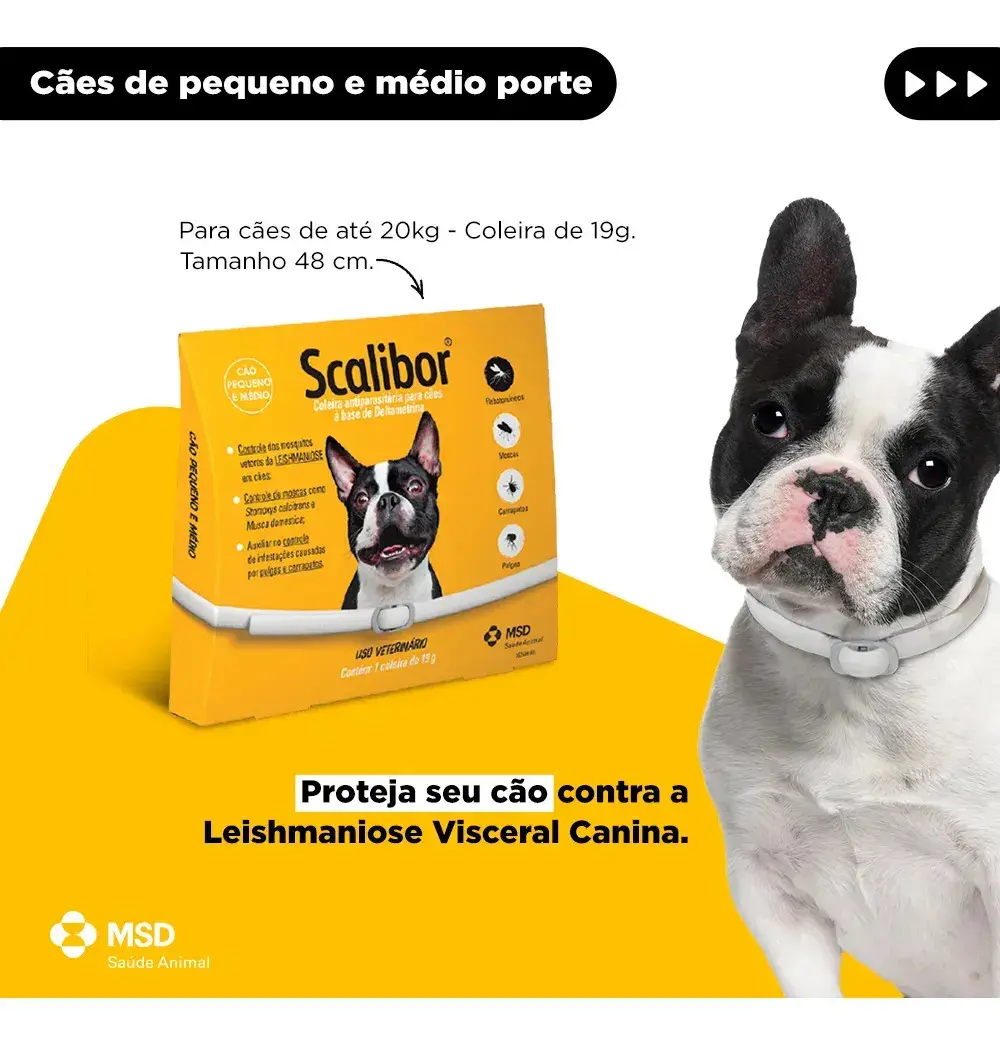 Coleira Antiparasitária Scalibor 48cm Cães Pulgas Carrapatos MSD thumbnail 2