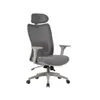 Cadeira Ergonômica Elements Astra Pro Cinza - 1