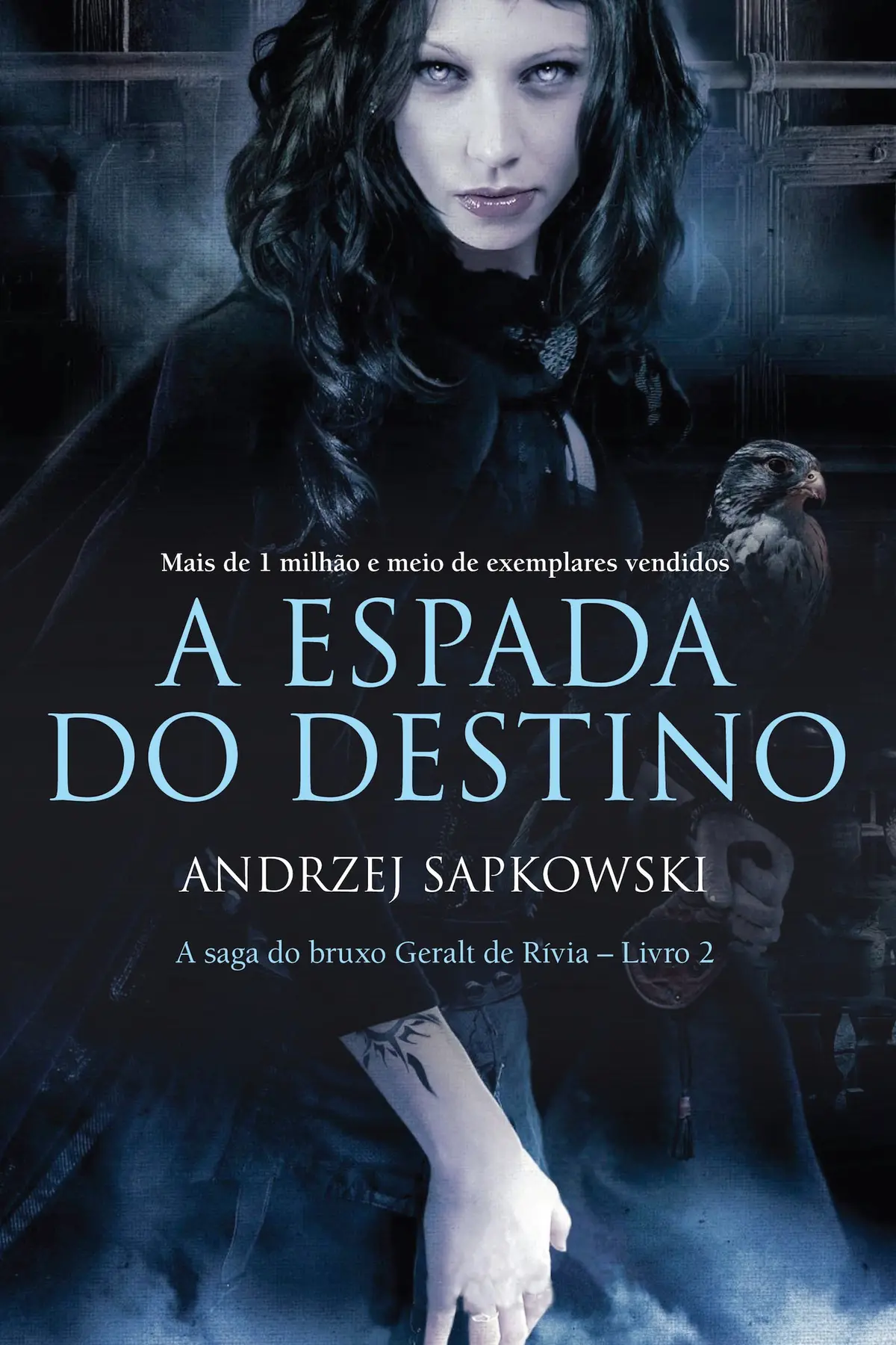 A Espada do Destino (THE WITCHER: A Saga do Bruxo Geralt de Rívia Livro 2) - 1