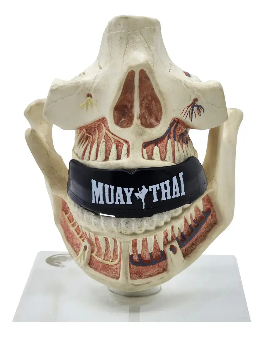 Spank Protetor Bucal Profissional Moldável Com Estojo Cor Muaythai - Boxe - Muaythai - Jiu-jitsu - Mma - Kickboxing - Futebol - Basquete - Esporte De Contato thumbnail 6