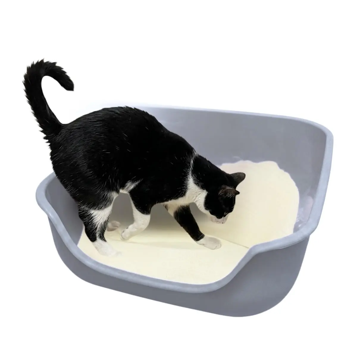 Pet Games Caixona De Areia Cinza - Bandeja Higiênica Para Gatos Tamanho:Extra Grande - 1