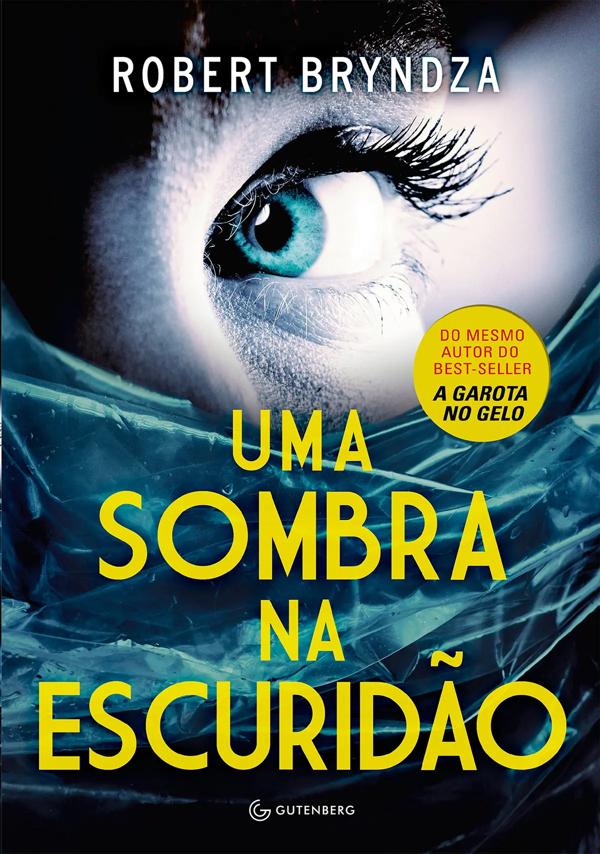 Uma sombra na escuridão (Detetive Erika Foster Livro 2) - 1