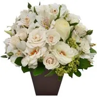 O Segredo da Flor Branco