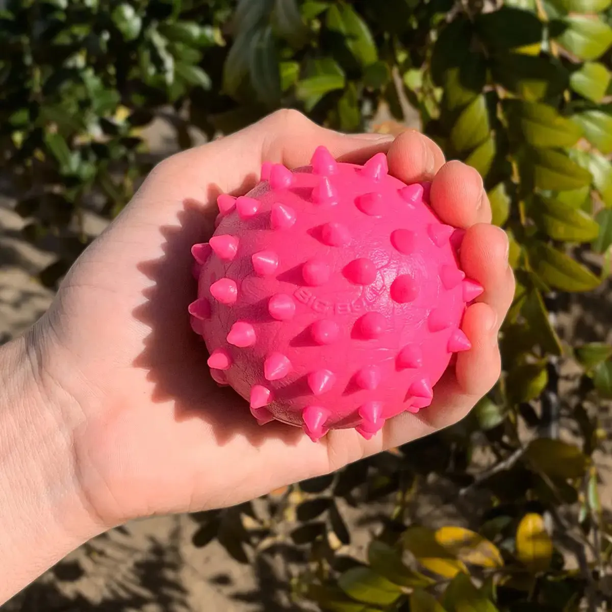 Bolinha Pula-Pula Cravo 75mm Borracha Maciça Rosa Big Bull Pet Cachorro