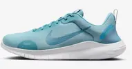 Tênis Nike Flex Experience Run 12 Masculino