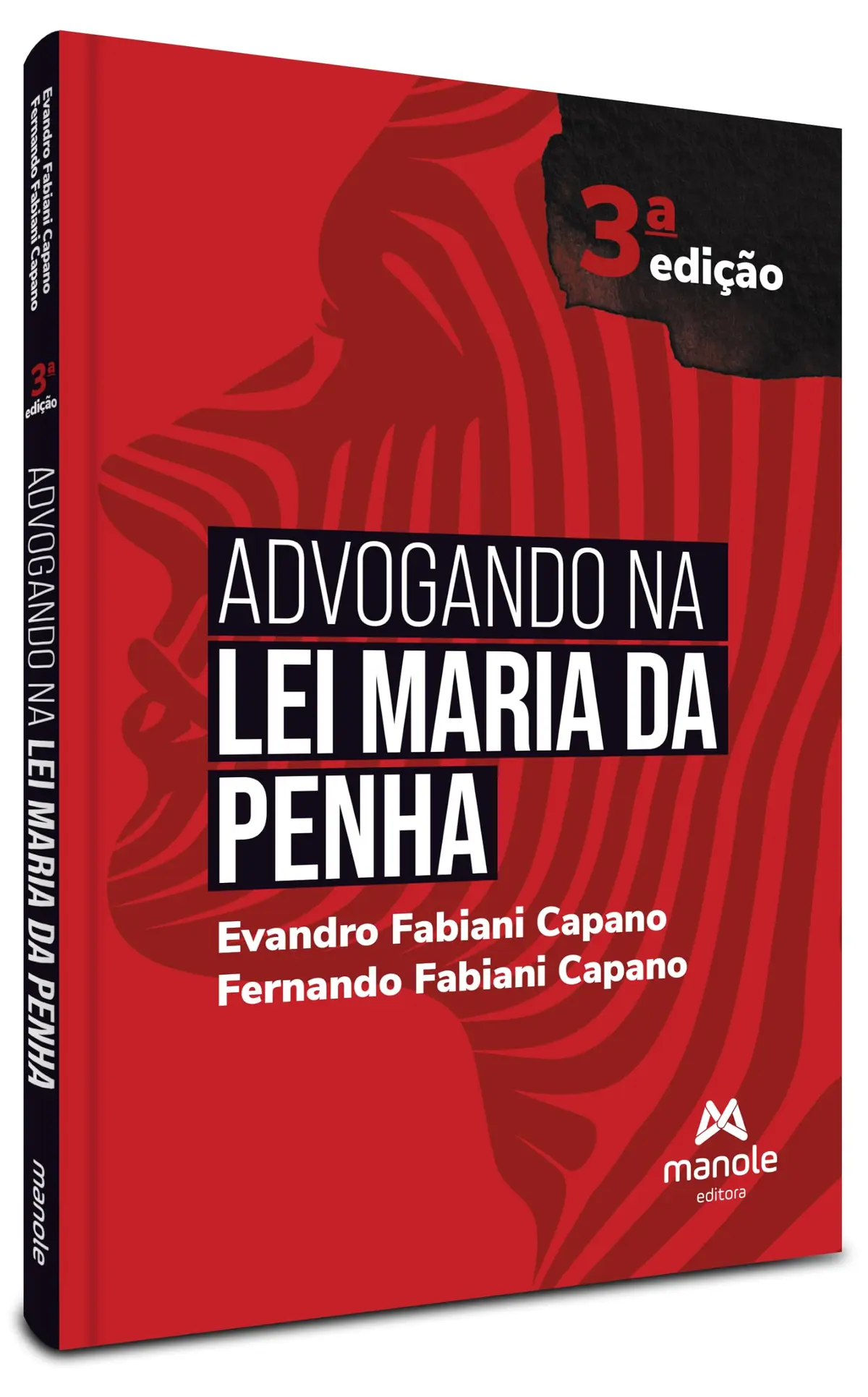 Advogando na Lei Maria da Penha - 1