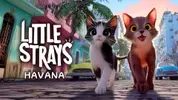 Little Strays: Havana - 1