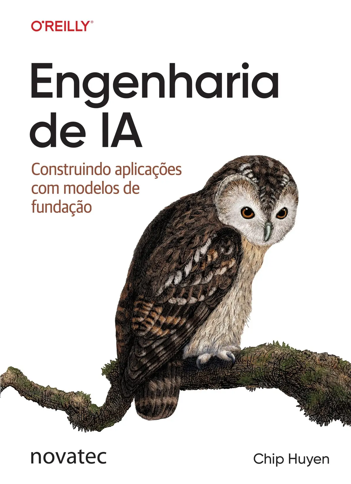 Engenharia de IA: Construindo aplicações com modelos de fundação - 1