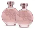 Floratta Cerejeira Em Flor 75ml (2 Itens) - 1
