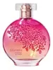 Floratta Romance de Verão Colônia 75ml - 1