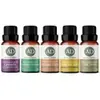 Aroma D`Alma - Kit 5 Óleos Essenciais 100% Puros - Lavanda, Eucalipto, Limão Siciliano, Laranja Doce e Tea Tree (Melaleuca) - 1