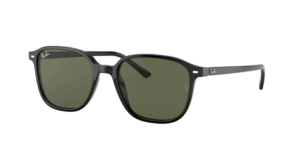 Óculos de Sol Ray-Ban Leonard Unissex
