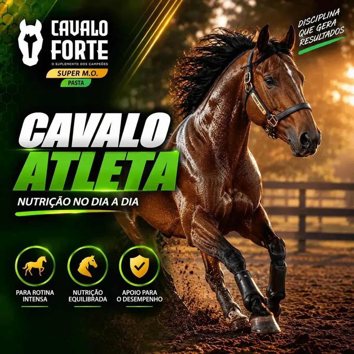 Pasta Mo Gel Cx Com 2 Seringas Suplemento Cavalo Forte Oral thumbnail 2