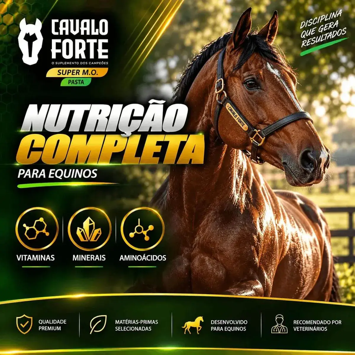 Pasta Mo Gel Cx Com 2 Seringas Suplemento Cavalo Forte Oral thumbnail 4
