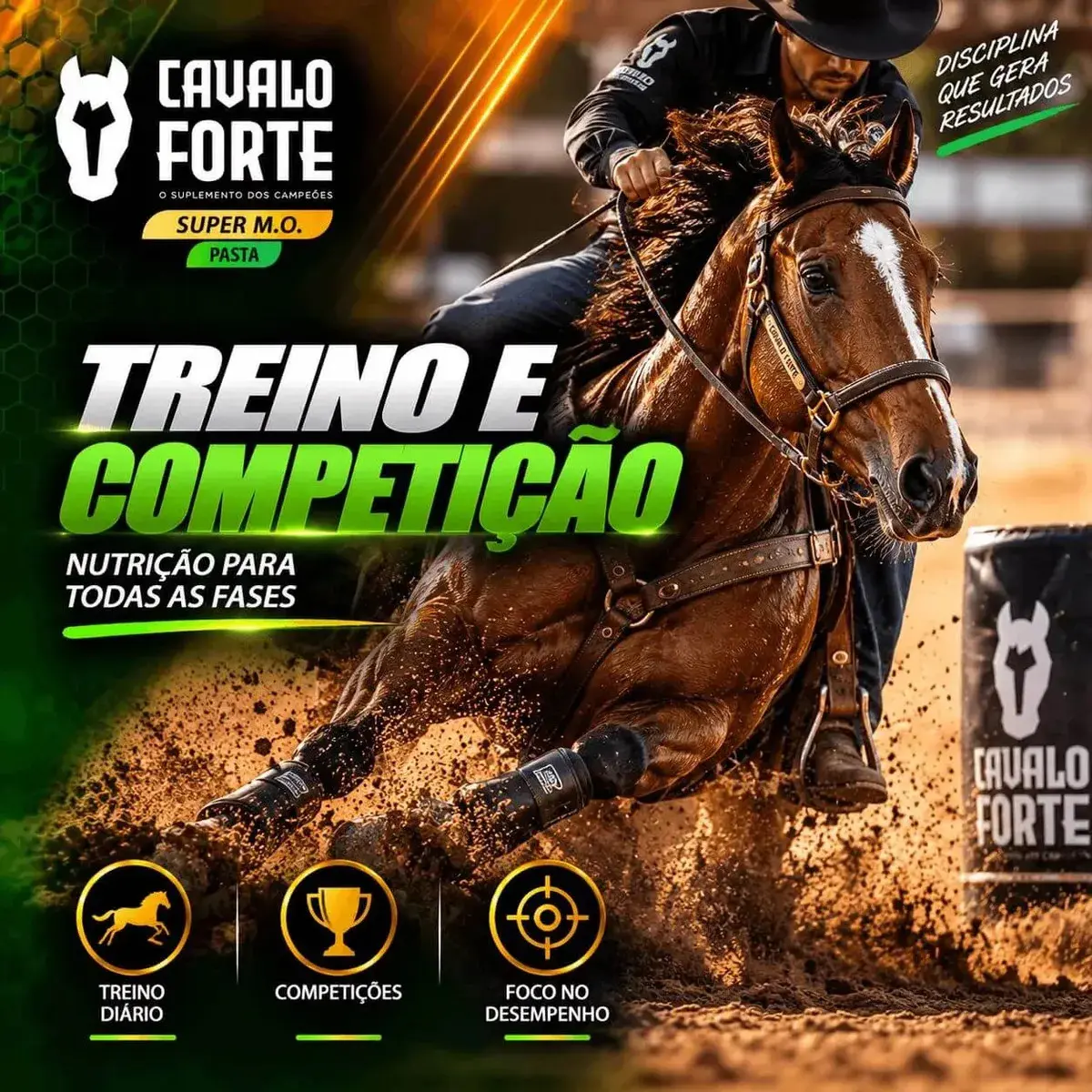 Pasta Mo Gel Cx Com 2 Seringas Suplemento Cavalo Forte Oral thumbnail 5