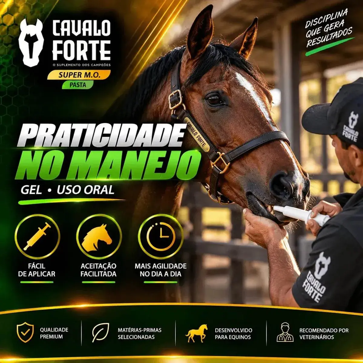 Pasta Mo Gel Cx Com 2 Seringas Suplemento Cavalo Forte Oral thumbnail 6