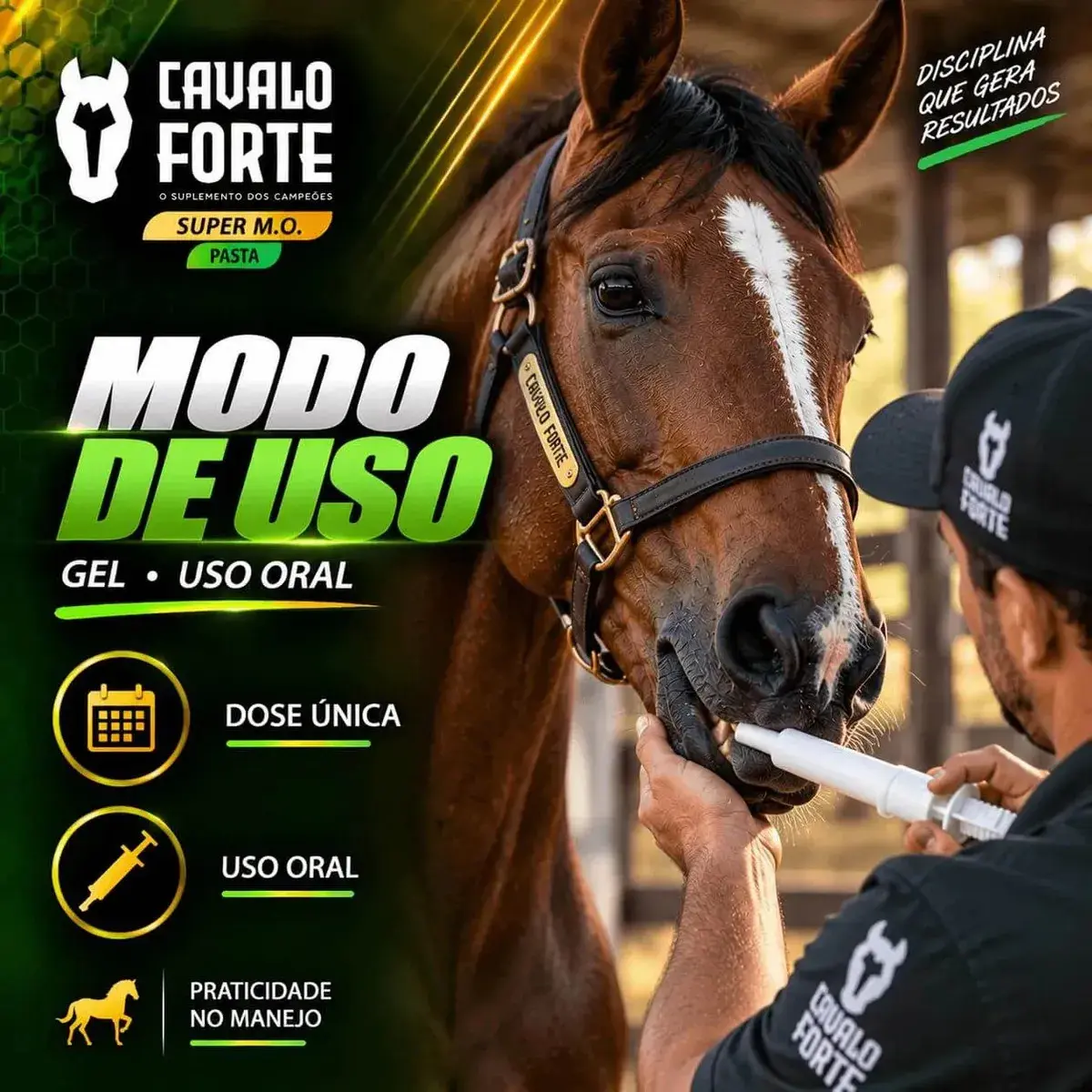 Pasta Mo Gel Cx Com 2 Seringas Suplemento Cavalo Forte Oral thumbnail 7