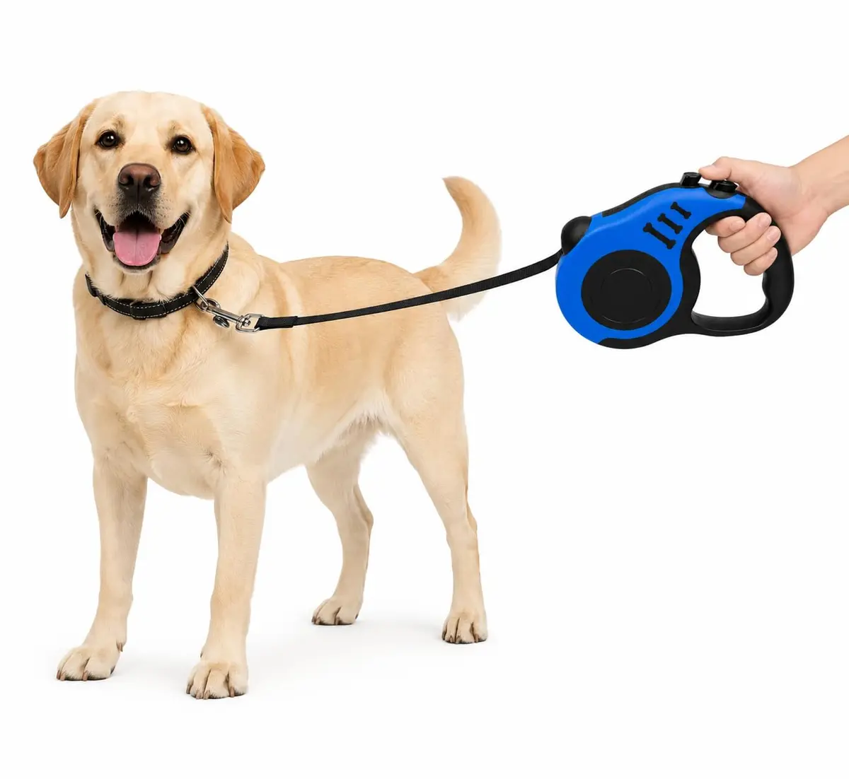 Guia Retrátil para Cães e Gatos 3 m Azul com Trava de Segurança, Alça Ergonômica, Fita Retrátil Resistente e Clipe Metálico para Passeios - 1