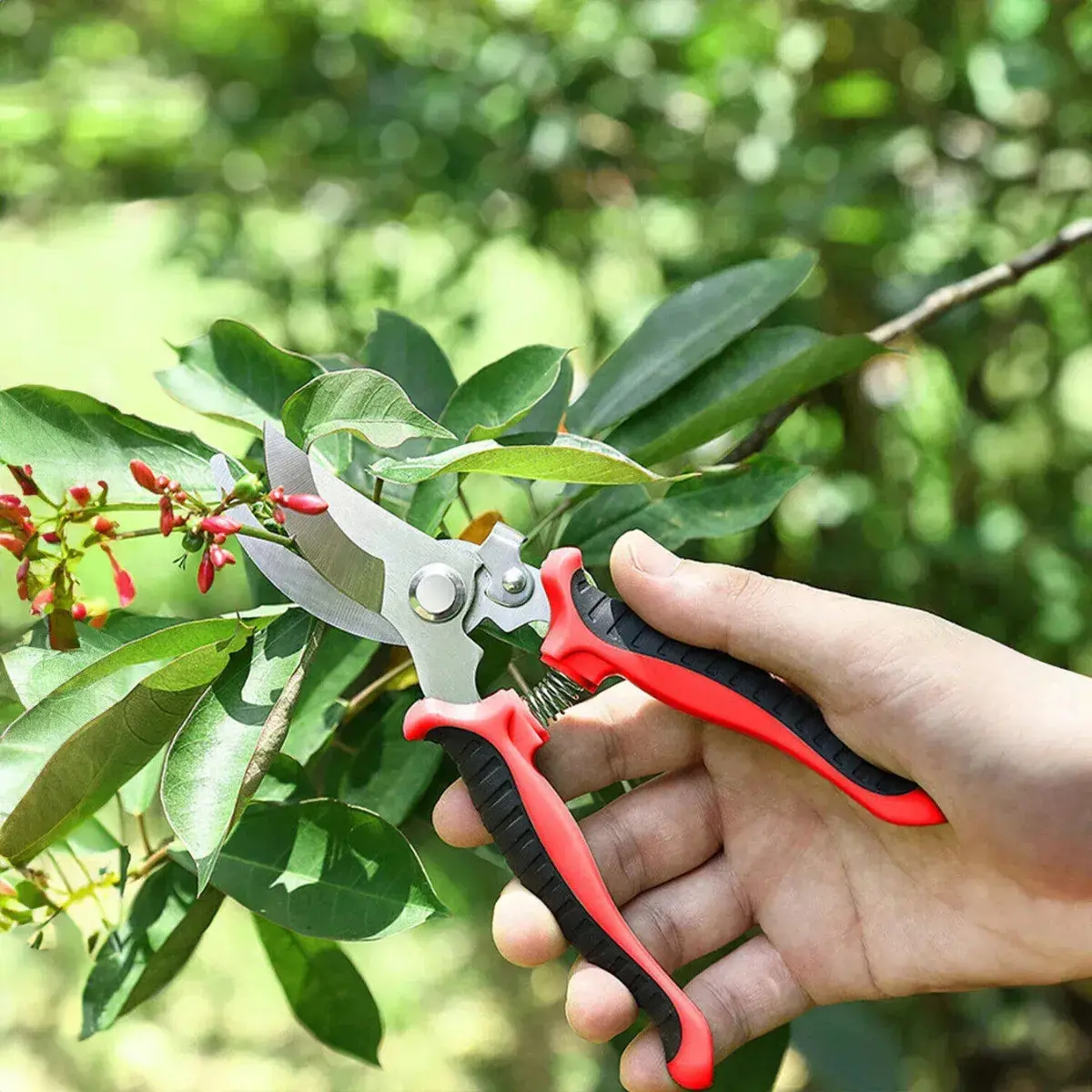 Tesoura Poda Galhos Jardinagem Alicate Profissional Aço Inox - Bondu thumbnail 4