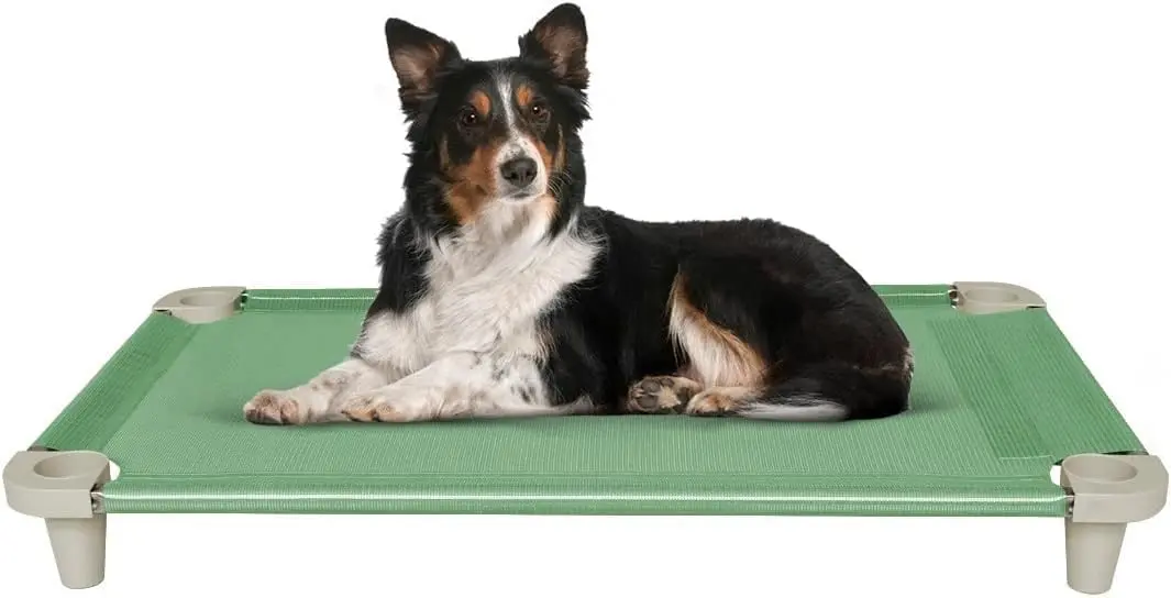 Acrimet Cama Pet Elevada para Cachorros Grandes, Lavável, Higiênica, Verde | Respirável, Resistente, Antiderrapante e Fácil de Montar