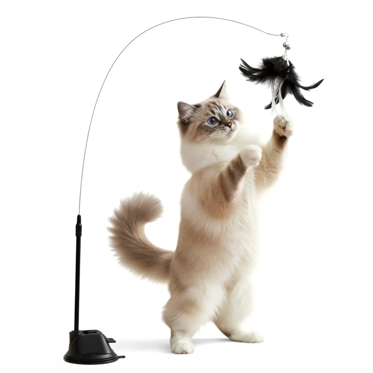 Brinquedo para gatos em vara com acessório de penas e ventosa potente, brinquedo interativo adequado para pisos, paredes e janelas