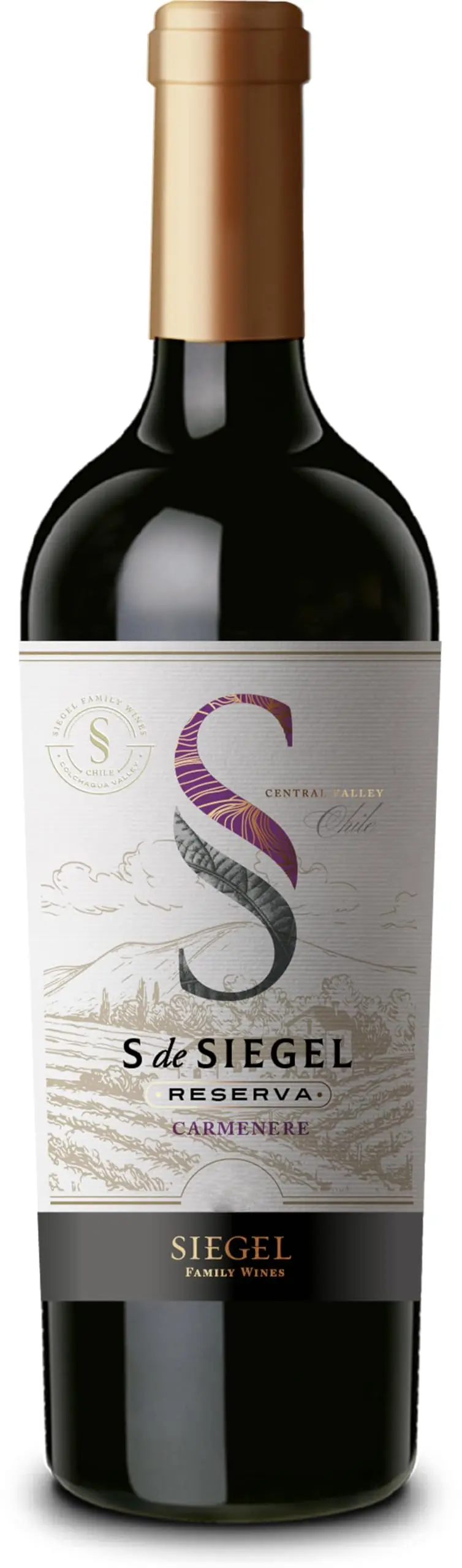 Vinho Chileno Tinto S de Siegel Reserva Merlot 750ml - 1