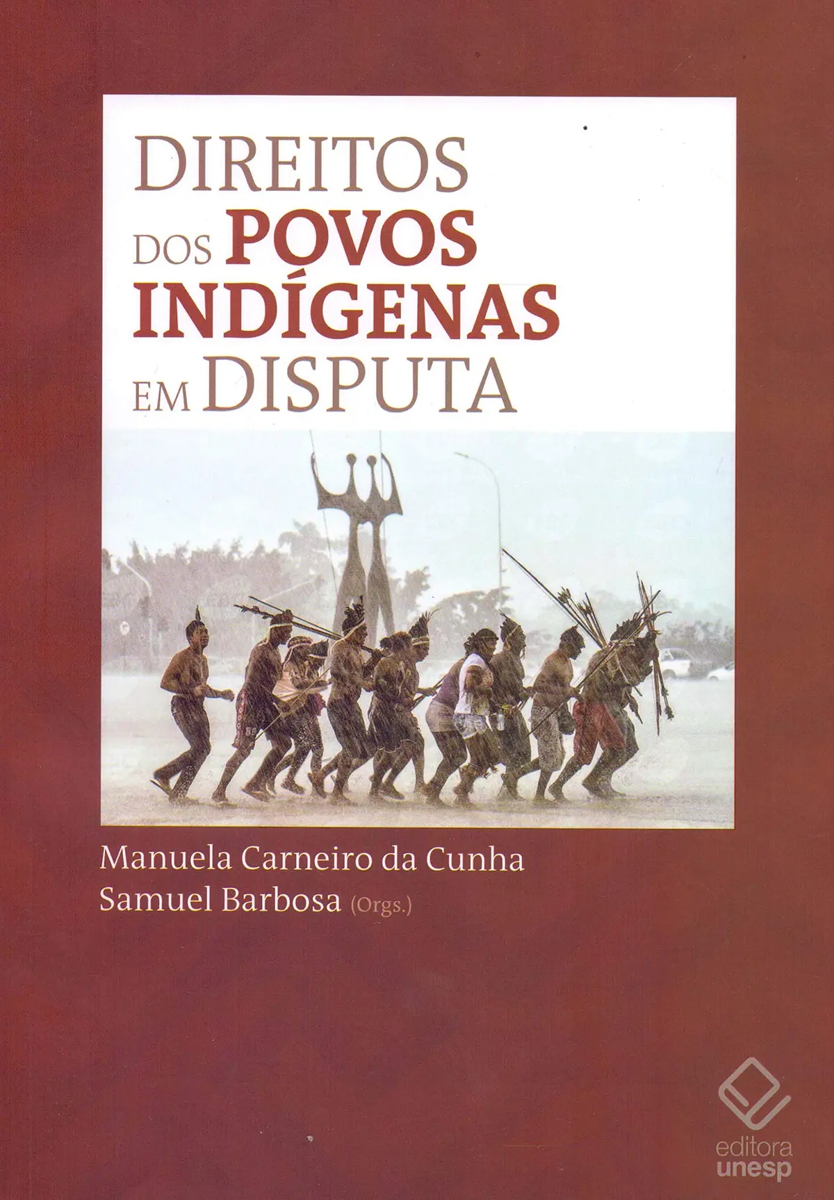 Direitos dos povos indígenas em disputa - 1
