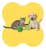 Bola Inteligente Brinquedo Gira para Pets - 1
