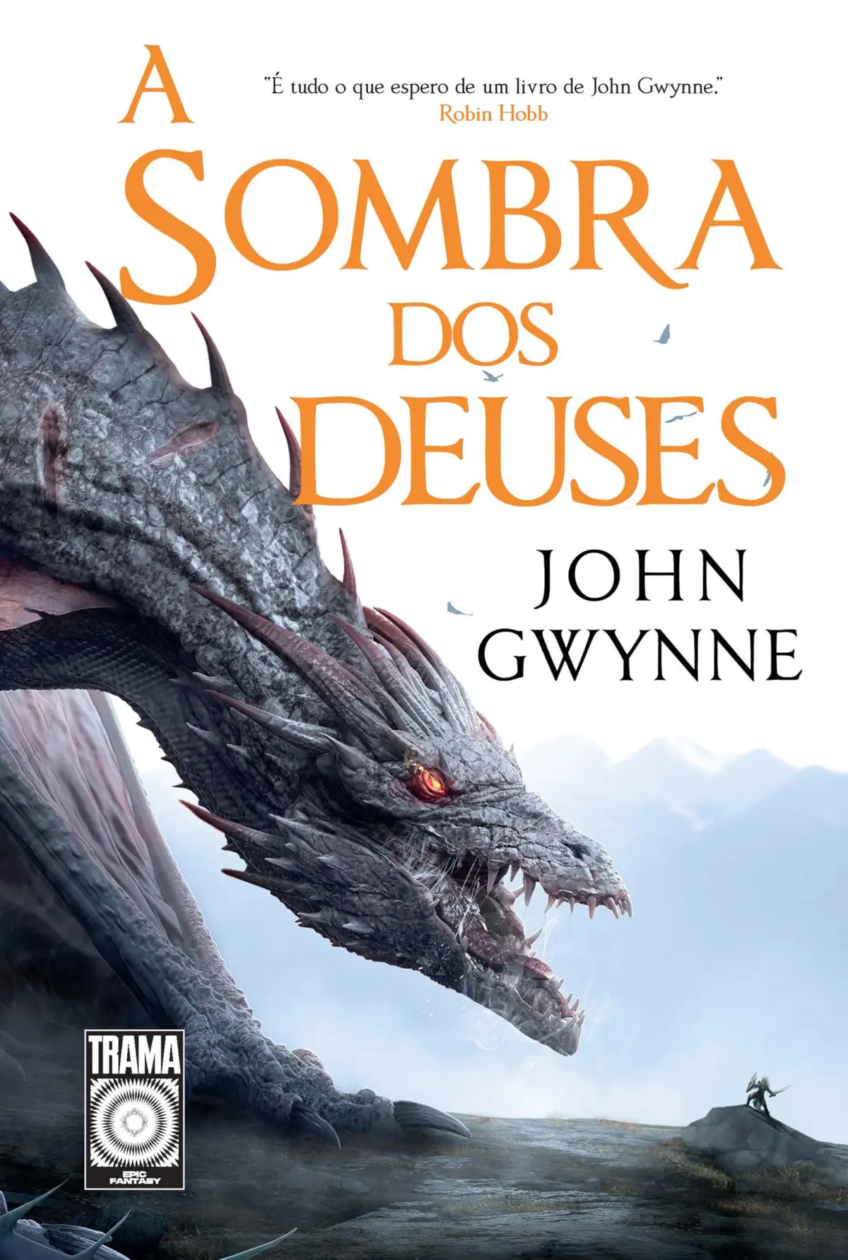 A sombra dos deuses (Saga Bloodsworn Livro 1)
