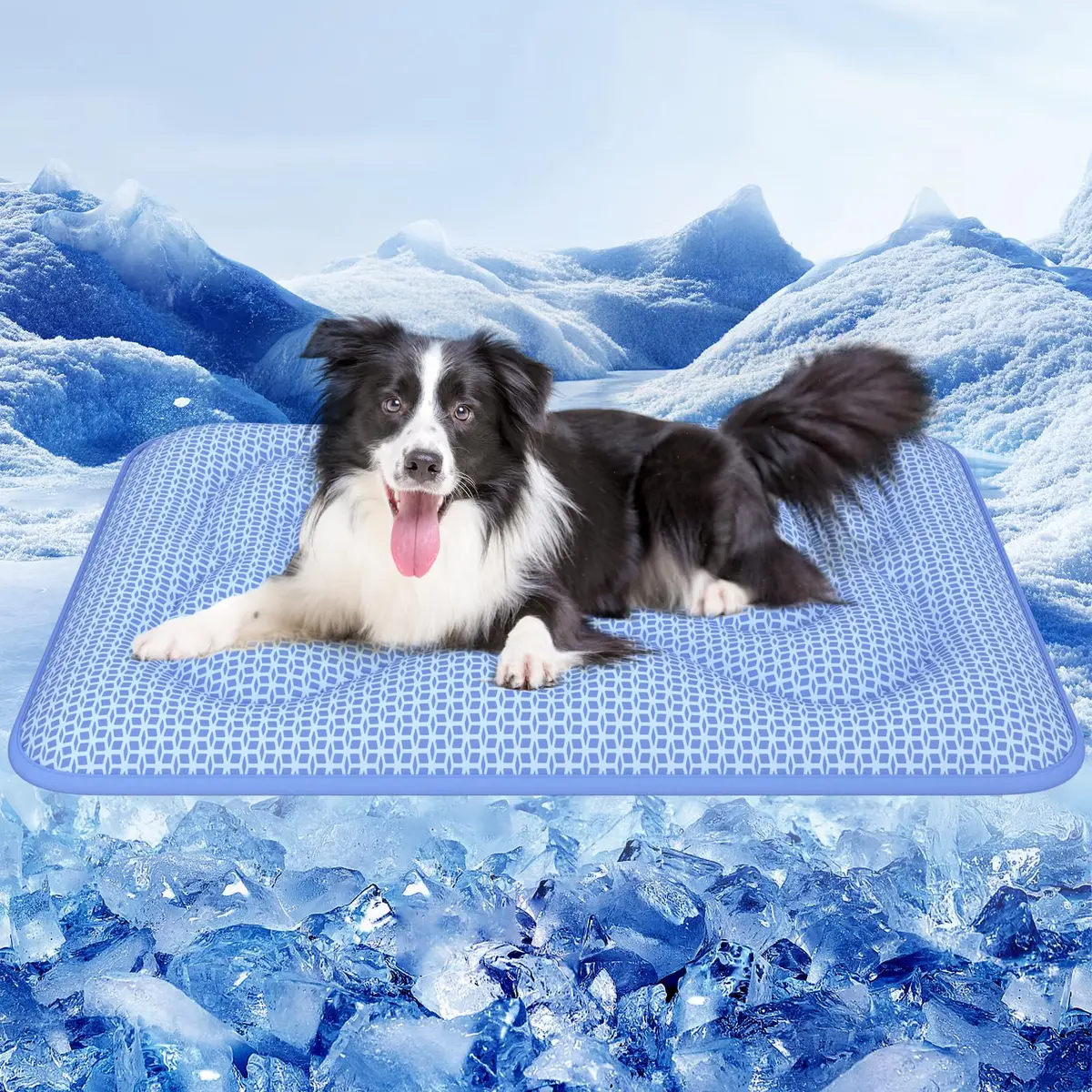 Rywell Tapete Gelado para Pet 110 x 80 cm, Design Dupla Face para o Ano Todo, PCM e Arc-Chill Q-Max>0,5, Muda de Cor com o Calor, Refrescância Duradoura, Espessura Reforçada, Lavável à Máquina, Azul - 1