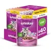 Ração Úmida Frango Gatos Filhotes 85g c/40 - 1