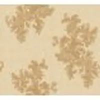 Papel De Parede Vinilico - 7913 + Cola Gratis - 1