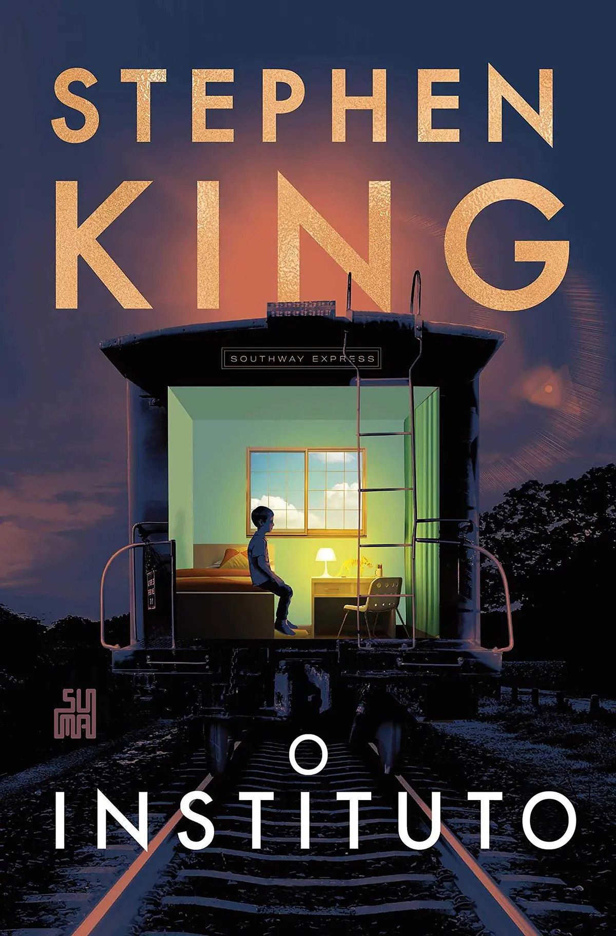 O instituto: O livro que deu origem à série da MGM+