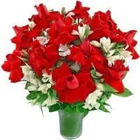 Expressão de Amor Premium - 1