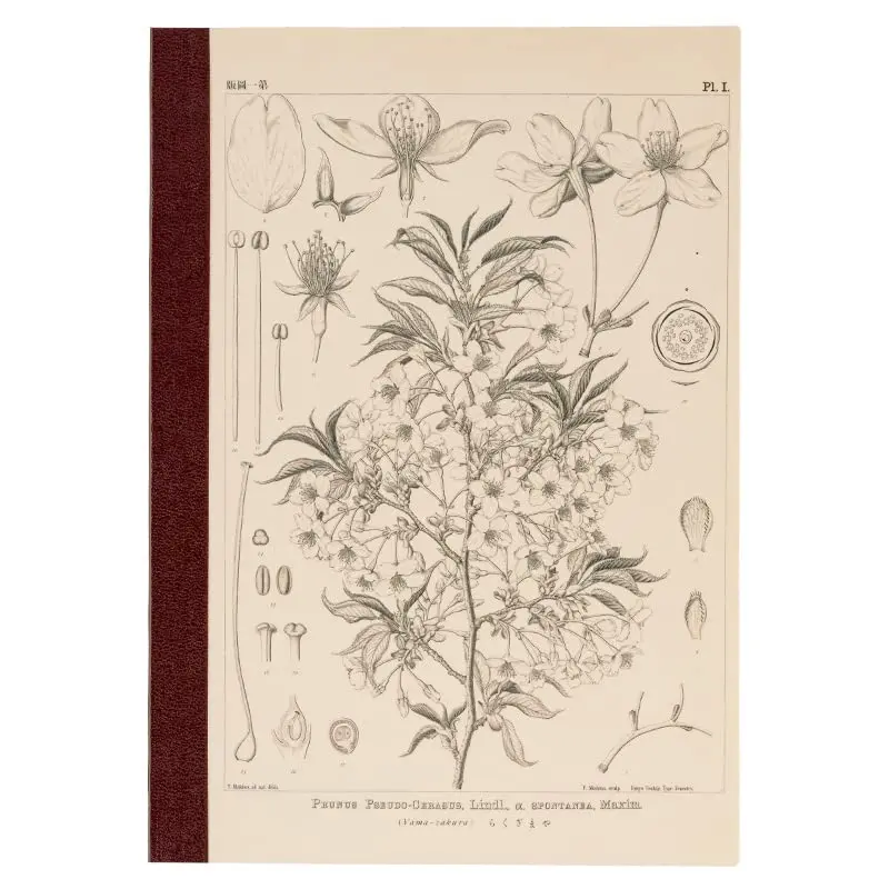 ほぼ日 Hobonichi Techo Accessories Hobonichi Graph Notebook (A5) - Yamazakura