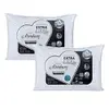 Kit 2 Travesseiros Altenburg Firme 50x70cm - 1