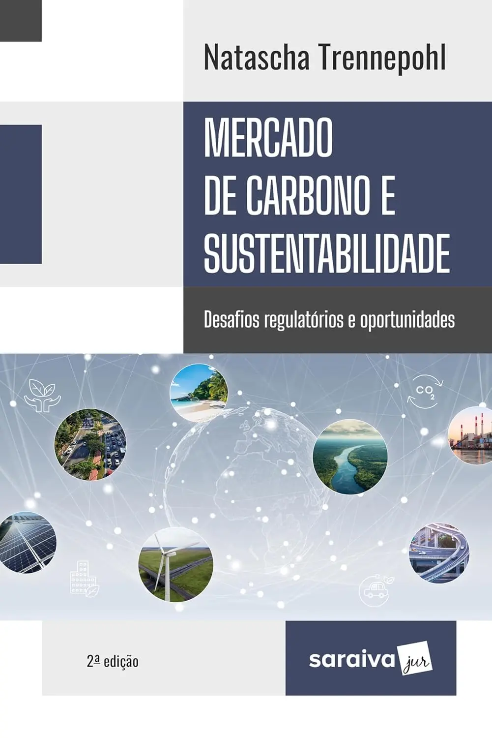 Mercado de Carbono e Sustentabilidade - 2ª Edição 2025 - 1