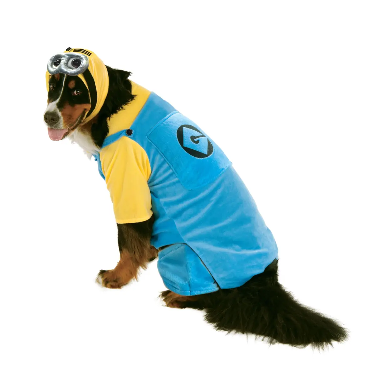Rubie's Fantasia de cachorro Big Dog Boutique Minion, 2GG