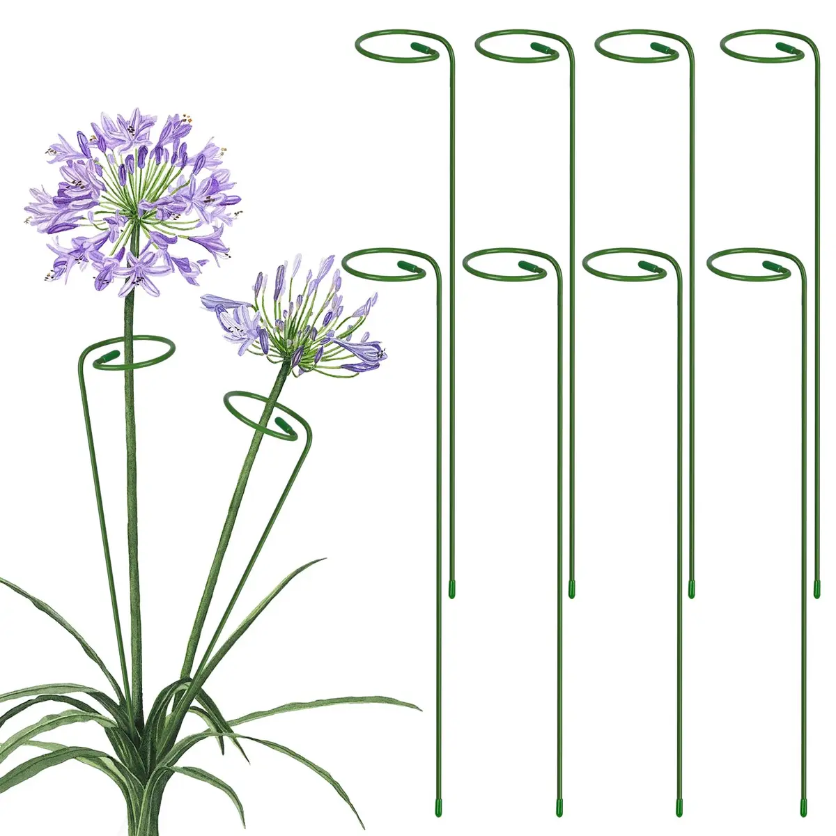 Kit 8 Tutor Suporte para Apoiar Plantas Hastes para Diversos Tipos de Plantas, Haste Única de Jardim, Suporte para Plantas Tutor Gaiola