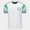 [App] Camiseta Palmeiras Alviverde Masculina - Branco+Verde - 1