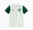 Camisa Palmeiras Torcedor AWAY 2025 Juvenil - 1