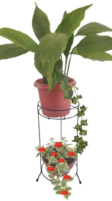 Suporte de Chão para 2 Vasos de Plantas Floreira Decorativa - 1