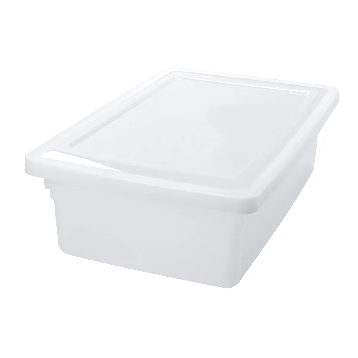 Sanremo - Caixa Organizadora Plástica de 5 Litros, Cor Branca, Linha Max